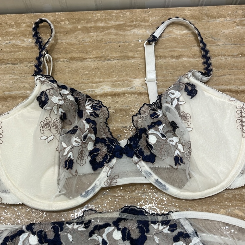 Beautiful Felina sexy 2pc embroidered matching bra/panty set - Picture 2 of 7